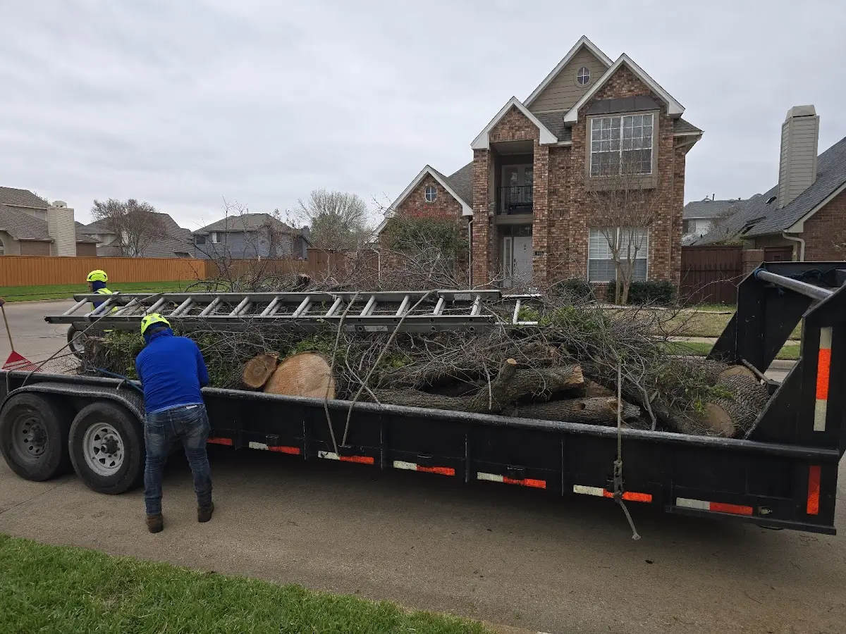 Expert Tree Fertilization with proper safety equipment in Mineral Springs